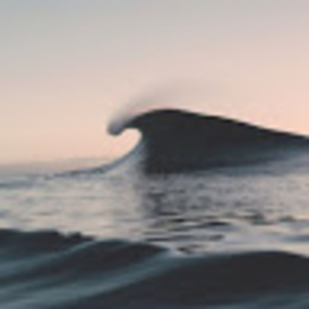 Meet your Posher, Kendall